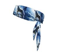 Sports Head Tie YYHWHJDE Snow Wolf at The Peak Pattern Quick Drying, Moisture Wicking for Women, Girls, and Men, Workout. Lightweight, Breathable