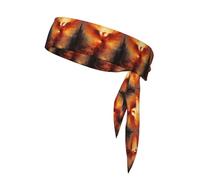 Sports Head Tie YYHWHJDE The Phoenix Reborn in Fire Pattern Quick Drying, Moisture Wicking for Women, Girls, and Men, Workout. Lightweight, Breathable