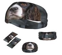Sports Headband for Men Women,Moisture Wicking Sweat Bands Stretchy Workout Non Slip Headbands Spaniel On The Sofa Hairband for Running Yoga Cycling Workout