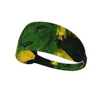 Sports Headband Rasta Lion Of Judah Jamaican Mens Headband Non-Slip Elastic Wide Hair Bands Easy To Carry Headband, For Cycling, Running, 54-60cm