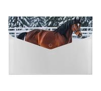 Sports Horses in The Snow Winter File Organizer for Office,6 Pockets Expanding File Folder, Portable Accordion Folders for Desktop, Waterproof Paper Bill Receipt Organizer for Business
