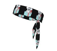 Sports Strap Double-Sided Headscarf WHJDPP Cute Koala in a Gift Box Printing Soft and Breathable Suitable for Yoga Running and Fitness