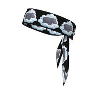 Sports Strap Double-Sided Headscarf WHJSSF Hippopotamus on The Clouds Pattern Soft and Breathable Suitable for Yoga Running and Fitness