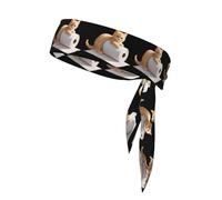 Sports Strap Double-Sided Headscarf WHJSSF Kitten Playing on The Toilet Paper Pattern Soft and Breathable Suitable for Yoga Running and Fitness