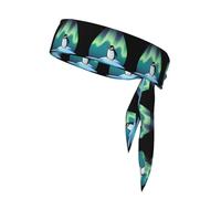 Sports Strap Double-Sided Headscarf WHJSSF Penguin Under The Aurora Picture Soft and Breathable Suitable for Yoga Running and Fitness