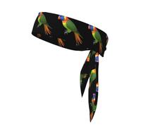 Sports Strap Double-Sided Headscarf WHJSSF Rainbow Lorikeet Picture Soft and Breathable Suitable for Yoga Running and Fitness