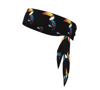 Sports Strap Double-Sided Headscarf WHJSSF Tropical Toucan Picture Soft and Breathable Suitable for Yoga Running and Fitness