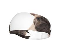 Sports Sweatband Head Bands Lightweight Breathable Non Slip Workout Headbands French Bulldog Hairband for Women Men Fitness Running Cycling Hiking Yoga