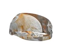 Sports Sweatband Unique Frost Fox pattern Lightweight Not Tense for Running Outdoor Exercise