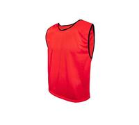 SPORTSBIBS Football Bibs for kids and adults, Marker T-Shirts, Mesh Jersey, Training Marking Shirts, Trikots for Men Ladies Seniors Juniors, 8 colours, without logo