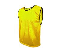 SPORTSBIBS Football Bibs for kids and adults, Marker T-Shirts, Mesh Jersey, Training Marking Shirts, Trikots for Men Ladies Seniors Juniors, 8 colours, without logo