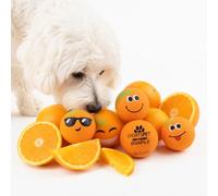 SPORTSPET Mandarin Scented High Bounce Dog Balls, PACK OF 6 (61mm)