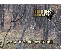 Spot and Stalk Whitetail