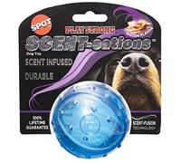 Spot Play Strong Scent-sations Bacon Flavor Ball 3.25” | Dog Toys for Aggressive Chewers |Ball | Chew Toys for Aggressive Dogs | Interactive Dog Toy | Dog Chew Toys for Aggressive Chewers, Blue