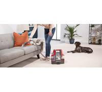Spot Wash Carpet Cleaner