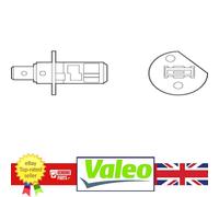 Spotlight Bulb for Abarth 500 500C GRANDE PUNTO RITMO Alfa Romeo 145