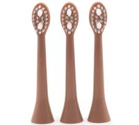 Spotlight Sonic Toothbrush Replacement Heads Rose Gold