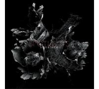 Spotlights - Love & Decay