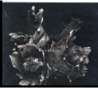 SPOTLIGHTS: LOVE & DECAY - CD BRAND NEW