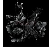 Spotlights : Love & Decay VINYL 12" Album 2 discs (2019) NEW Amazing Value