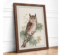 Spotted Owl Study Botanical Framed Wall Art Print A1 (84.1×59.4cm) Walnut, Wall Decor for Living Room, Bedroom, Office & Home, Ready to Hang, Art Gift