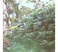 Spray fan nozzle for garden and For agricultural irrigation, high pressure and water saving, multiple hole designs for effective watering and humidification in outdoor settings (K-5 single hole)