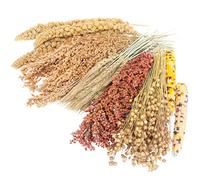 Sprays Set = Wheat + Flax + Yellow Millet + Panicle Millet + Corn Cob + Sorghum Stems, Pet Habitat Bedding Decor, Natural Hamster Chews Accessories, for Gerbil, Mice, Guinea Pig, Chinchilla, 6 Sprays