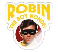 Spreadshirt DC Comics Batman Robin The Boy Wonder Sticker Size S (10 x 10 cm), 10 x 10 cm, White Glossy