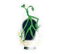 Spreadshirt Fantastic Beasts Bowtruckle Sticker, 10 x 10 cm, Transparent Glossy