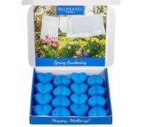 Spring Awakening Wax Melts | Strong Scented Wax Melt Gift Set | 16 x 6g Hearts | Hand Made in The UK | Vegan Friendly | Long Lasting Soy Wax Melt Sample Box