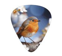 Spring Bird and Flowers Print Guitar Pick,12 Pack,Includes Thin,Medium,Heavy Gauges,Suitable for guitar,ukulele