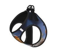 Spring Bird and Flowers Print Pet Leash Vest Soft Adjustable Step in Puppy Vest Outdoor Walking with Leash