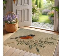 Spring Bird Doormat - Orange Robin Doormat for Entrance Outdoor Indoor Rustic Decor Waterproof Rubber Non Slip Dust-Absorbing Easy Clean