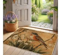 Spring Bird Doormat, Rustic Robin Door Mat for Outdoor & Indoor Entryway Country Style, Non-Slip Waterproof Dust Absorbent Front Doormat, Easy to Clean 29x17 Inch