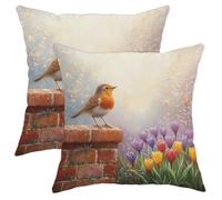 Spring Bird Pillow Covers Set of 2, Orange Robin Decor Throw Pillow Case, Nature Inspired Decorative Square Cushion Covers for Home Sofa Bed Couch 18x18 Inch