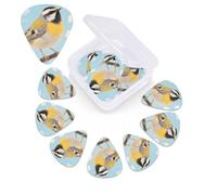 Spring Birds Blooming Flowers Guitar Picks 12 Pack with Organizer Box, 0.46 0.71 0.96 mm Includes Thin Medium Heavy Thickness,Abstract Guitar Pick Plectrums for Electric Guitar Ukulele Bass