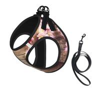 Spring Blossom On Wooden Table Print Adjustable Harness Leash Set For Cats And Dogs, Soft Breathable Kitten Puppy Mesh Vest With Reflective Design, Escape-Proof Lead For Small Pets Walking Training