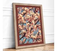 Spring Blossoms in Focus Botanical Framed Wall Art Print A2 (59.4×42cm) Oak, Wall Decor for Living Room, Bedroom, Office & Home, Ready to Hang, Art Gift