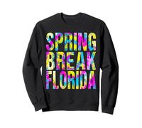 Spring Break Florida 2026 Tie Dye Artwork Sweatshirt