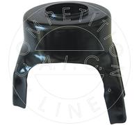 AIC 53821 Spring cap