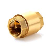 Spring Check Valve - Non Return Single Check Valve, DN32 1 1/4inch BSP Female Threads, Solid Brass Vertical Check Valves