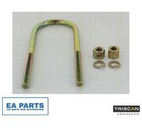 Spring Clamp for HYUNDAI JEEP MITSUBISHI TRISCAN 8765 100004