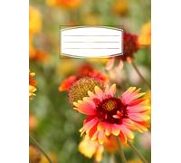 Spring Composition Notebook 001 (Garden and Flowers coloring books)