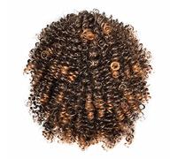 Spring Curl Bouncy Crochet Wig Short Afro Curly Wigs With Bangs 071187