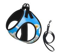 Spring Daisy Flowers Printing Puppy Summer Vest Harness With Reflective,Dog Accessories For Small Medium Large Dogs And Cats