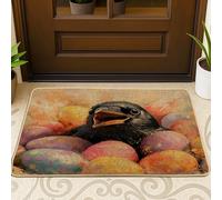 Spring Easter Crow Ravens Bird Front Black Door Mat Outside Inside Entrance 29 * 17, Cute Eggs Country Outdoor Indoor Entry Front Doormat, Small Animal Classroom Patio Home Shoes Off Doormat