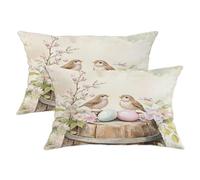 Spring Easter Nightingales Bird Pillow Covers 12x20 Set of 2, Comfy Wooden Floral Eggs Printing Velvet Pillow Cases Kit with Zipper, Animal Pattern Decor Sofa Living Room