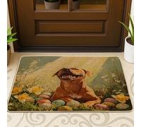 Spring Easter Rhodesian Ridgebacks Front Black Door Mat Outside Inside Entrance 29 * 17, Eggs Floral Field Outdoor Indoor Ultra Thin Doormat, Small Dog Classroom Patio Home Shoes Off Doormat