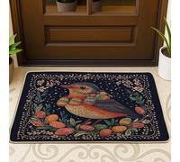Spring Easter Robins Bird Front Black Door Mat Outside Inside Entrance 29 * 17, Vintage Eggs Outdoor Indoor Non Slip Doormat, Small Animal Shoes Off Rug for Patio Home