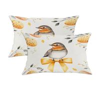 Spring Easter Robins Bird Pillow Cases Kit of 2, Soft Bows Floral Eggs Printing Throw Pillow Covers 12x20 Set, Animal Pattern Velvet Decor Couch Living Room